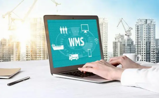 珠海企业都用什么系统管理仓库？标领WMS系统助你一臂之力！