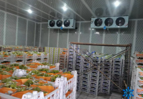 冷库WMS系统驱动的农产品供应链升级