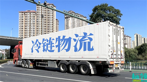 从-25℃到高效运营：冷链冷库管理系统如何重塑行业未来？