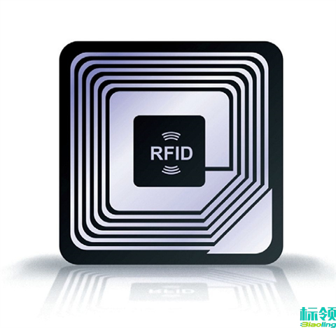 告别仓储管理之痛：揭秘标领科技以务实技术驱动企业降本增效的底层逻辑