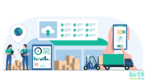 智能导航冷库迷宫：WMS无缝联动SAP，破解冷链拣货与库存管理世纪难题